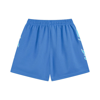 MIX Streetwear Beach Sport Mesh Shorts Casual Loose Fit Unisex Shorts 0025