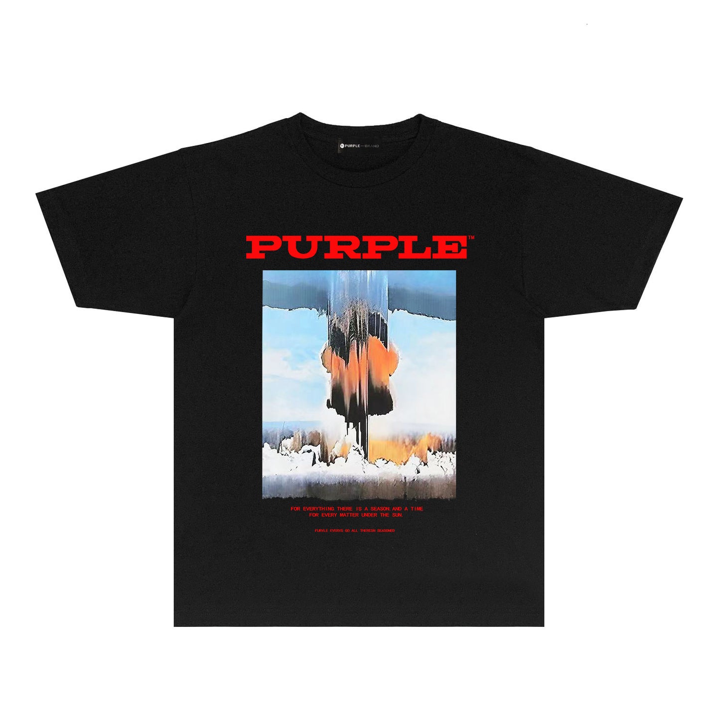 Purple Snowfield Graphic T-Shirt Short Sleeve Casual Streetwear Tee PUR092