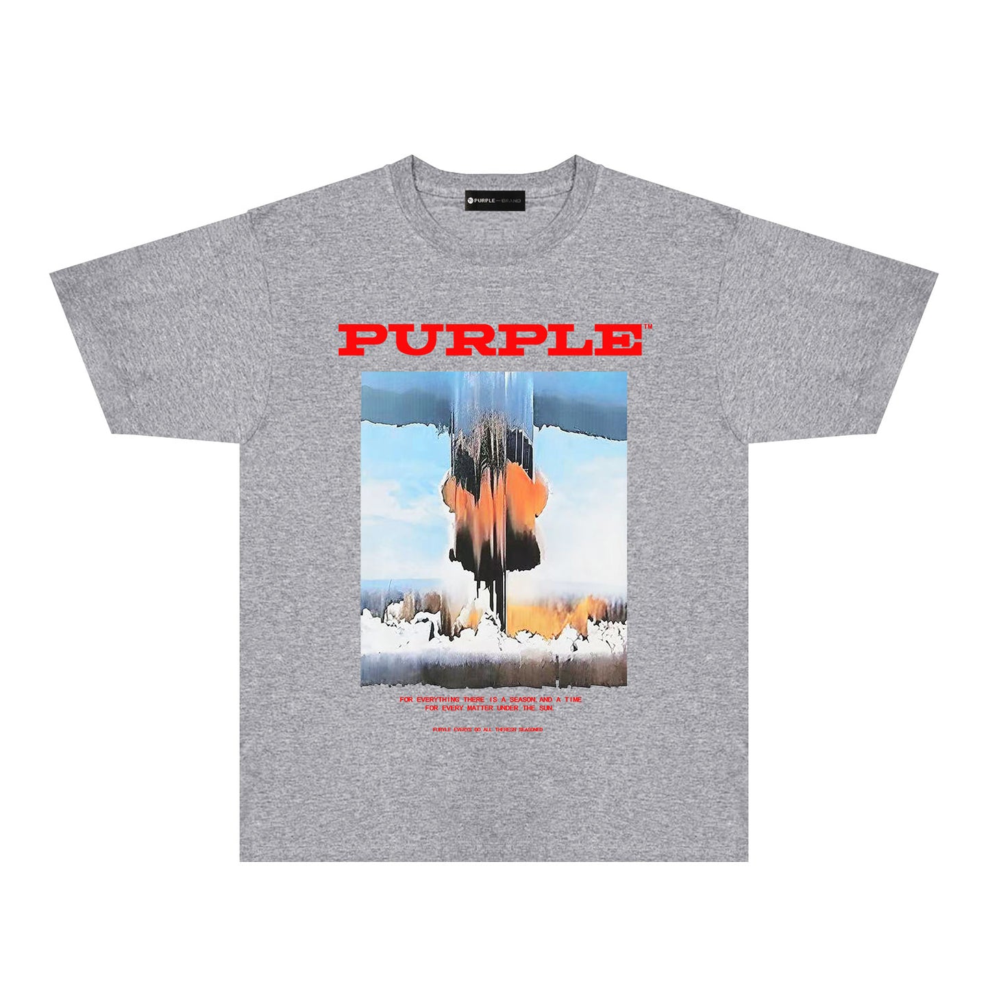 Purple Snowfield Graphic T-Shirt Short Sleeve Casual Streetwear Tee PUR092