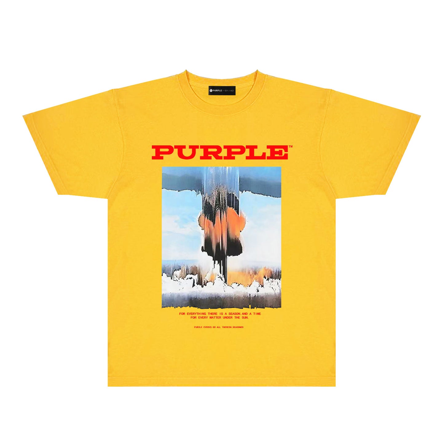 Purple Snowfield Graphic T-Shirt Short Sleeve Casual Streetwear Tee PUR092