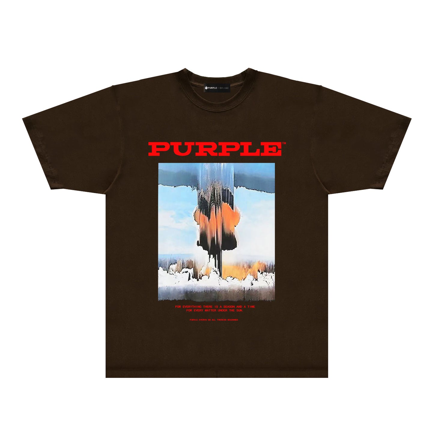 Purple Snowfield Graphic T-Shirt Short Sleeve Casual Streetwear Tee PUR092